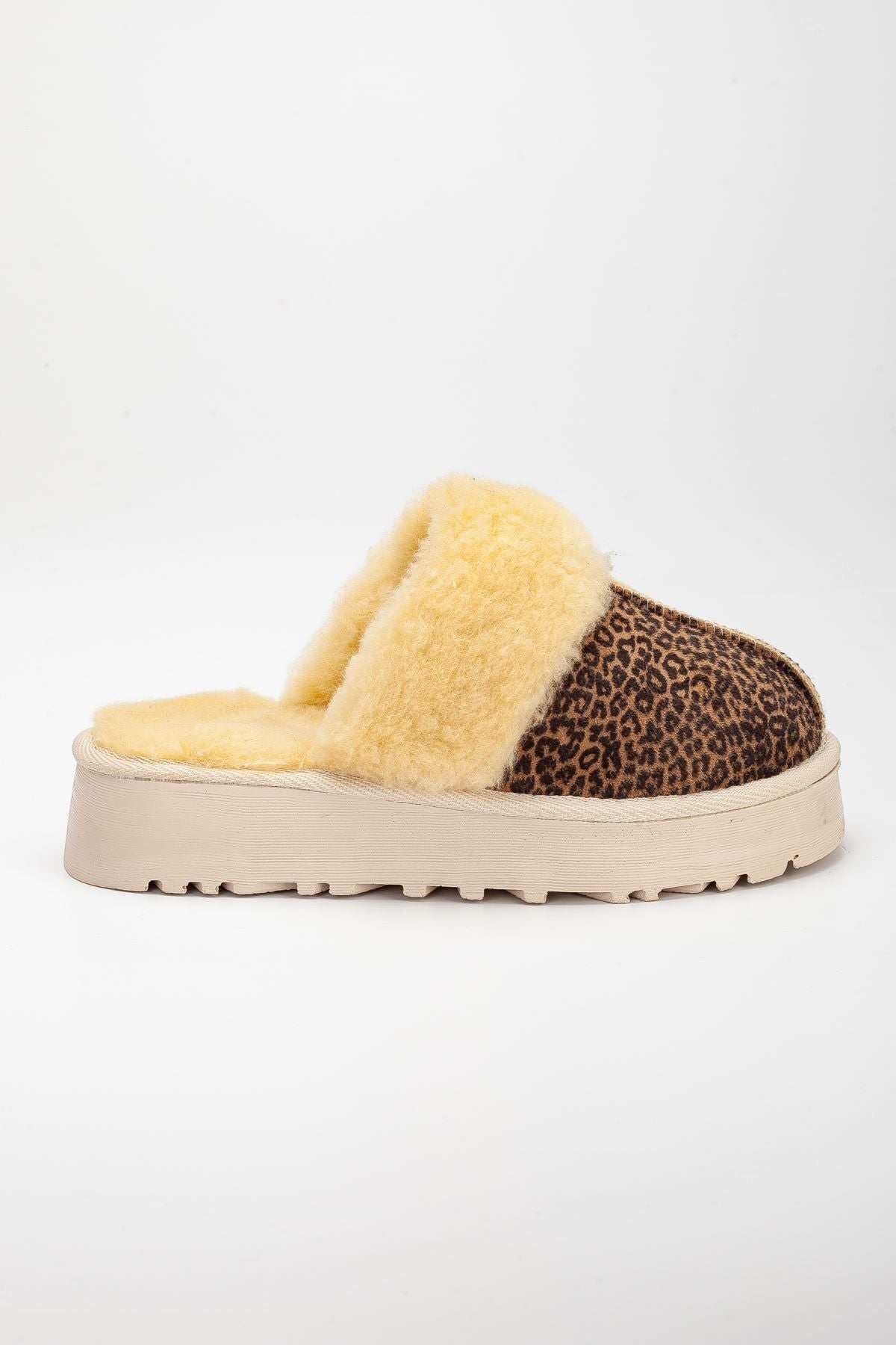 Lidya Ugg Slippers Tan