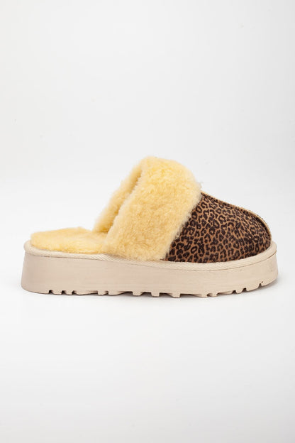 Lidya Ugg Slippers Tan